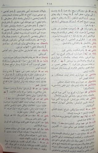 Kamus-ı Turki (Öğrenciye Özel, Renkli, Yeni Dizgi)
